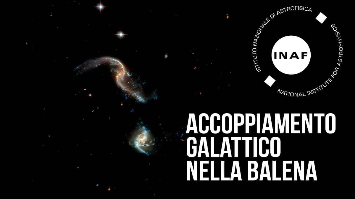 Accoppiamento galattico nella balena.